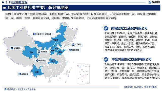 2024版工业盐行业市场运行态势及投资前景分(图4)